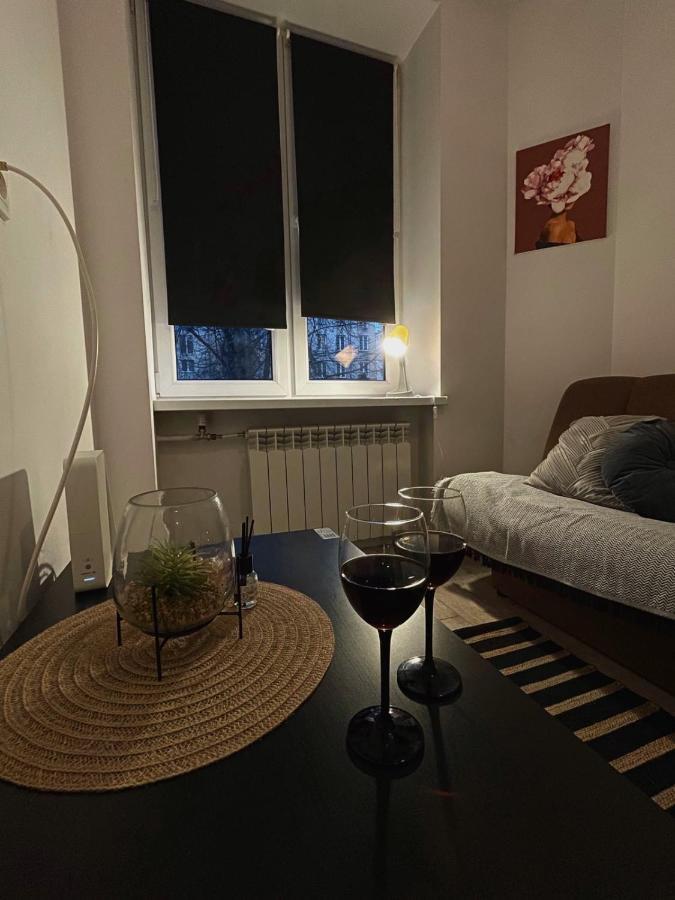 Komfort Na Tamce,parter, Niedaleko Starowki, Powisle Apartment *